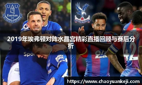 2019年埃弗顿对阵水晶宫精彩直播回顾与赛后分析